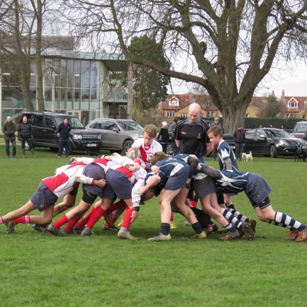 Rugby Season 2017